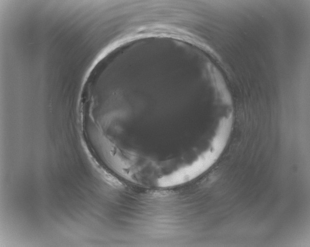 X0000066501522200604072227