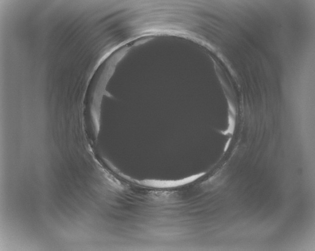 X0000066501529200604072228