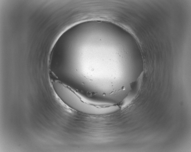 X0000066501532200604072228