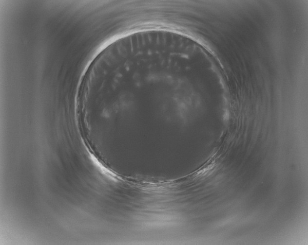 X0000066501535200604072228