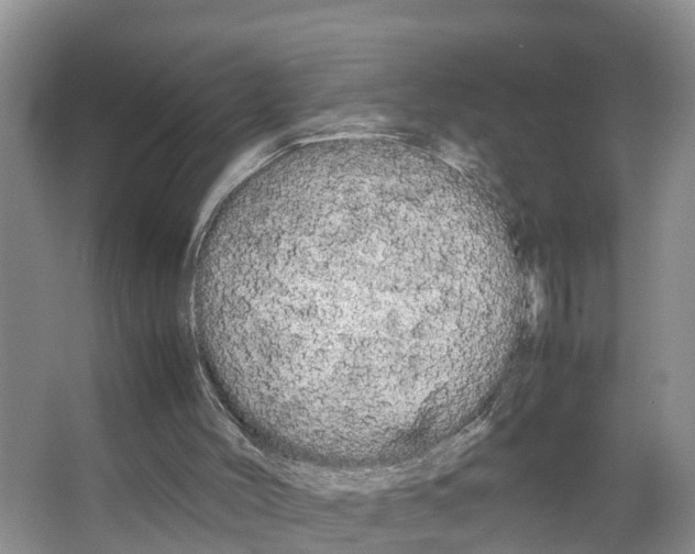 X0000066500004200604141734