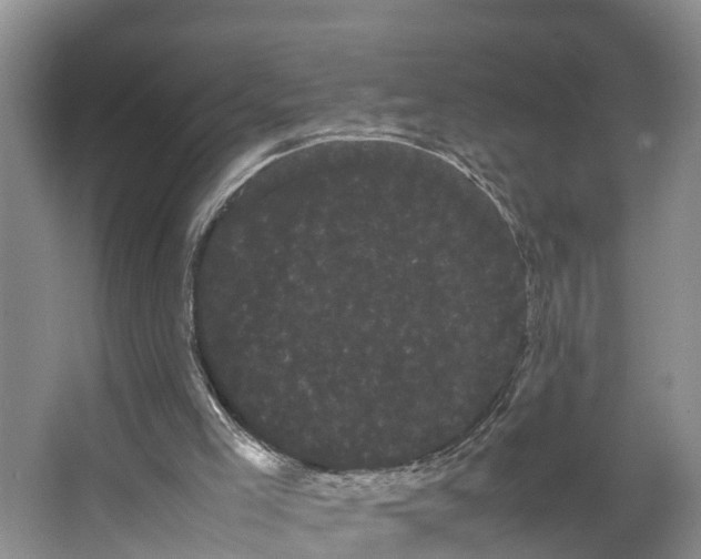 X0000066500005200604141734