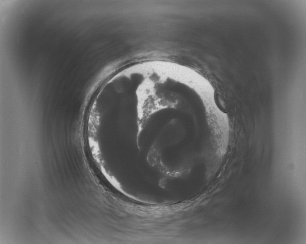 X0000066500006200604141734