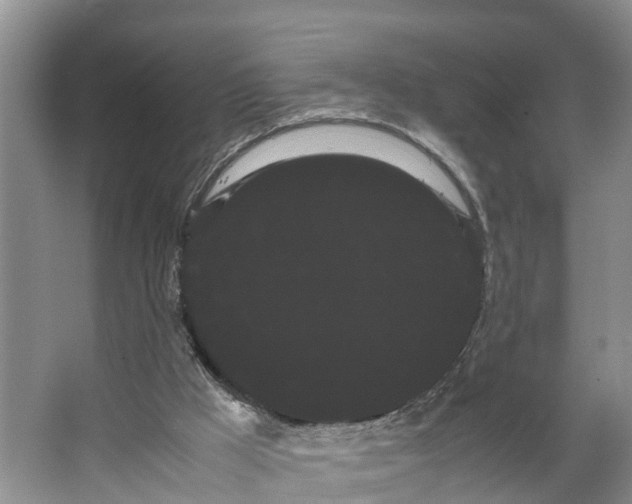 X0000066500009200604141734