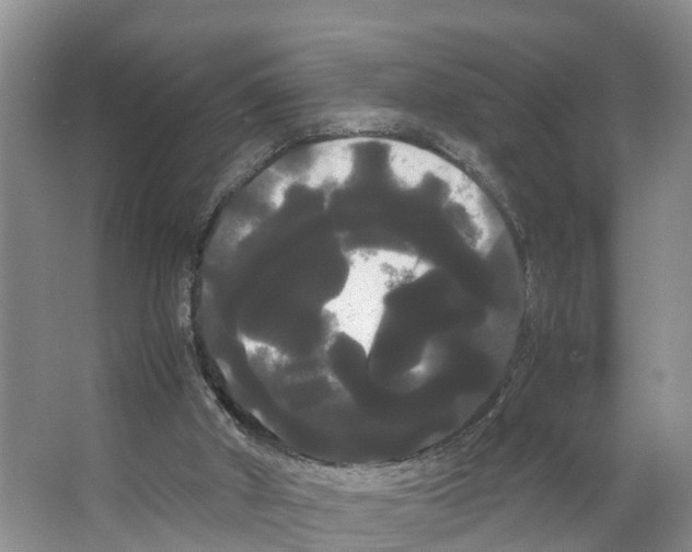 X0000066500010200604141734