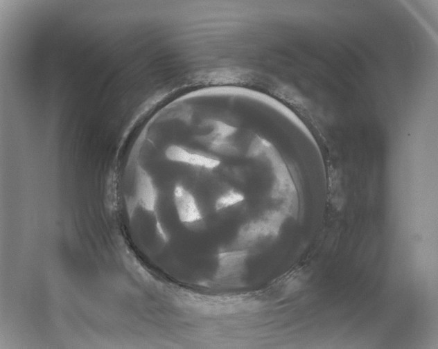 X0000066500012200604141734