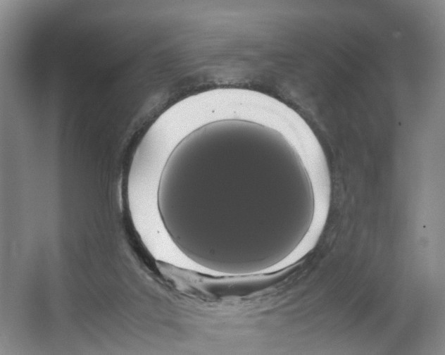 X0000066500019200604141734