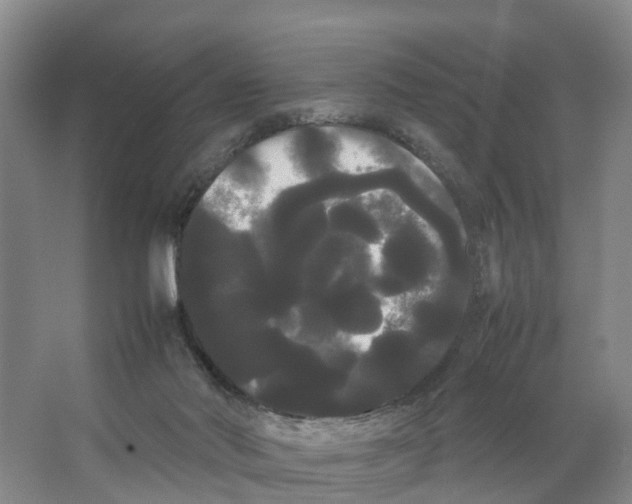 X0000066500022200604141734