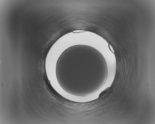 X0000066500023200604141734