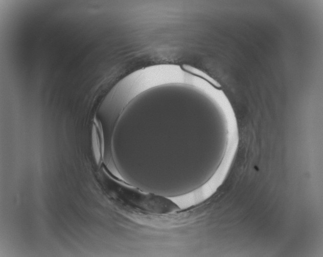 X0000066500027200604141734