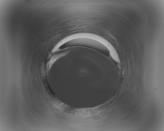 X0000066500029200604141734