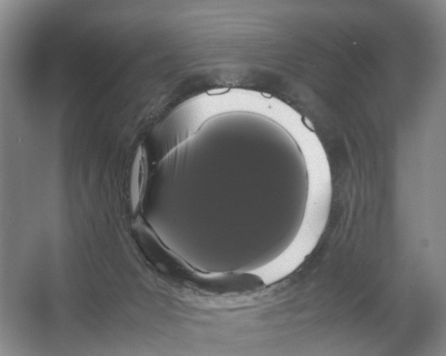 X0000066500031200604141734