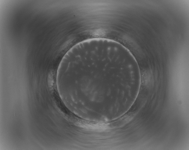 X0000066500032200604141734