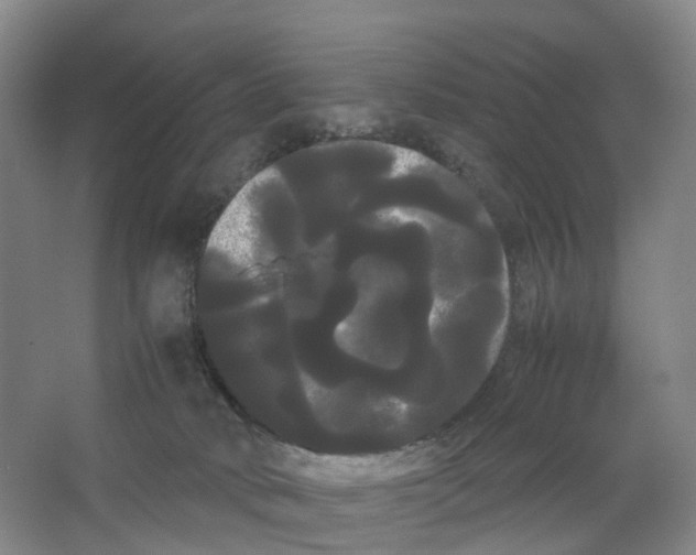 X0000066500034200604141734