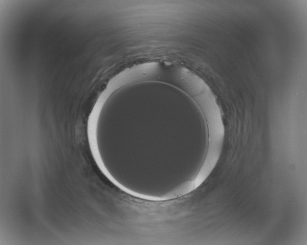 X0000066500035200604141734