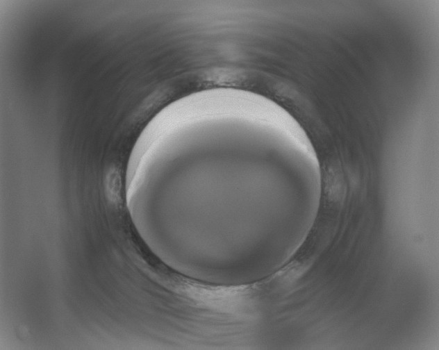 X0000066500036200604141734