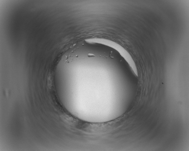X0000066500037200604141734