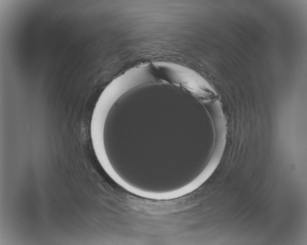 X0000066500039200604141734