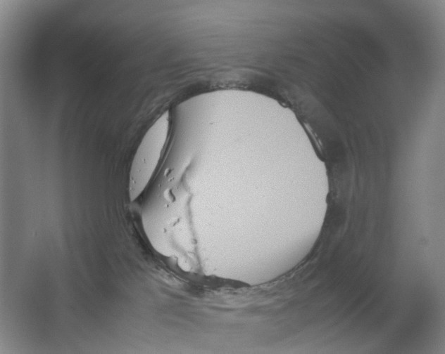 X0000066500041200604141734