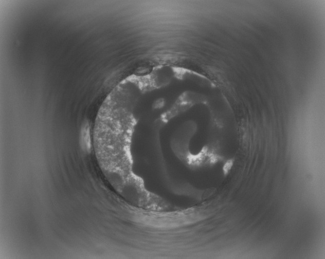 X0000066500042200604141734