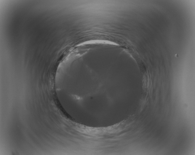 X0000066500043200604141733