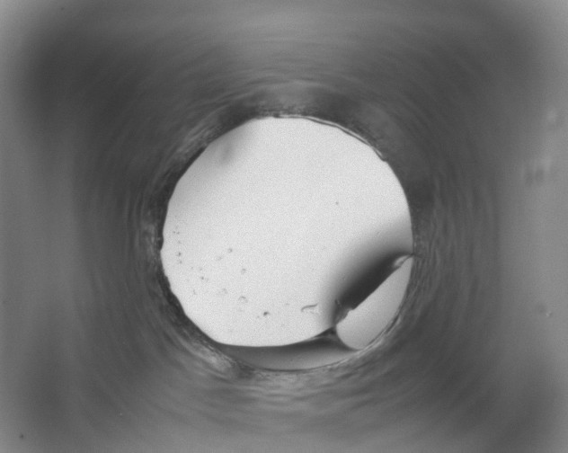 X0000066500045200604141733