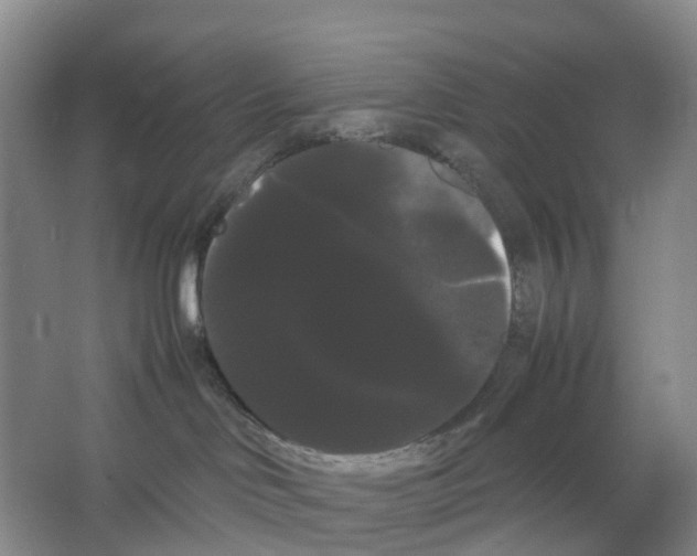 X0000066500046200604141733
