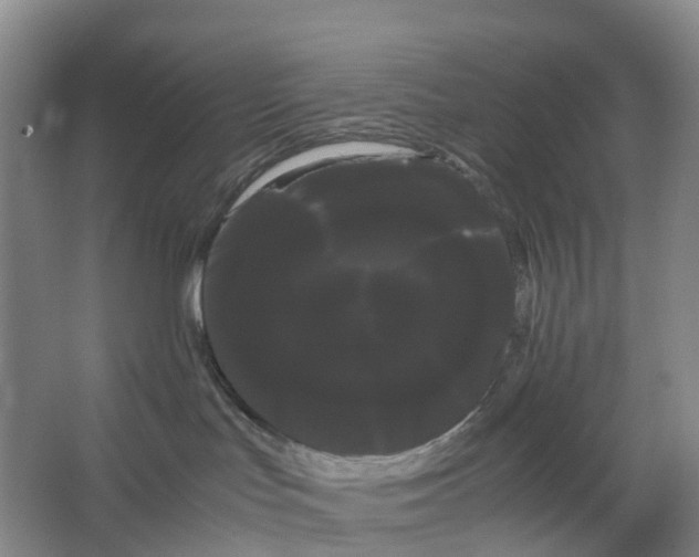 X0000066500047200604141733
