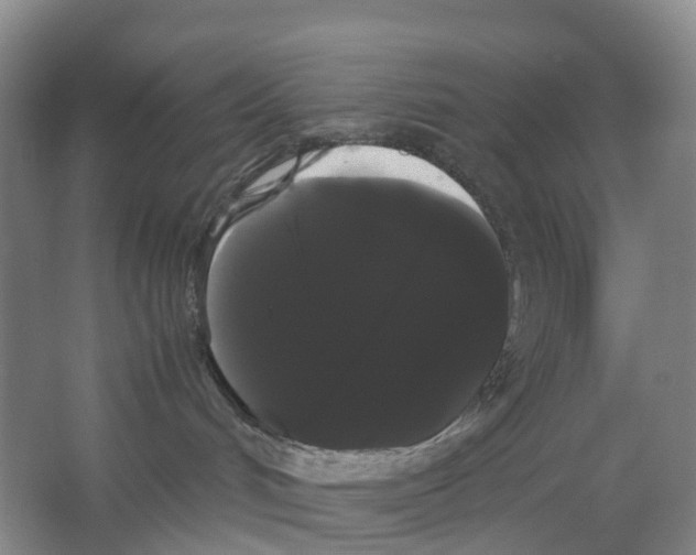 X0000066500048200604141733