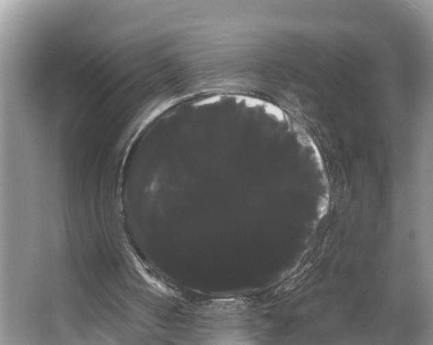 X0000066500050200604141733