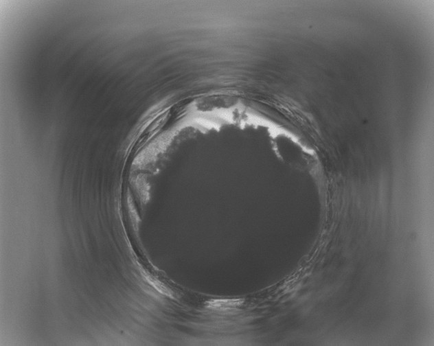 X0000066500051200604141733