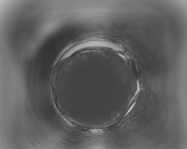 X0000066500052200604141733