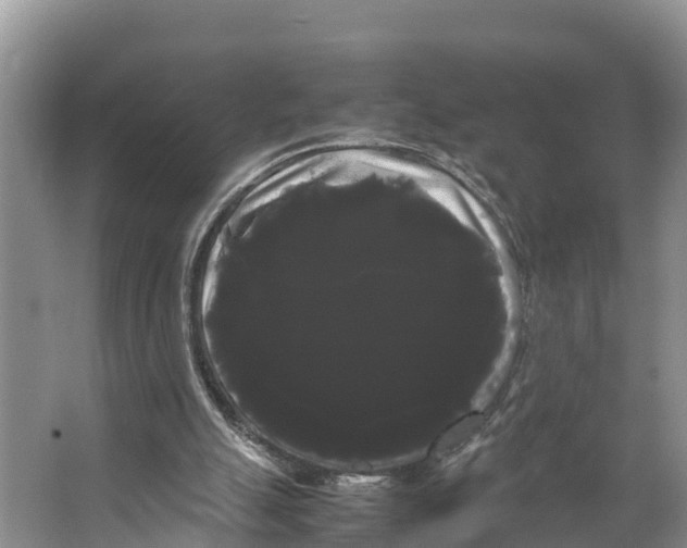 X0000066500055200604141733