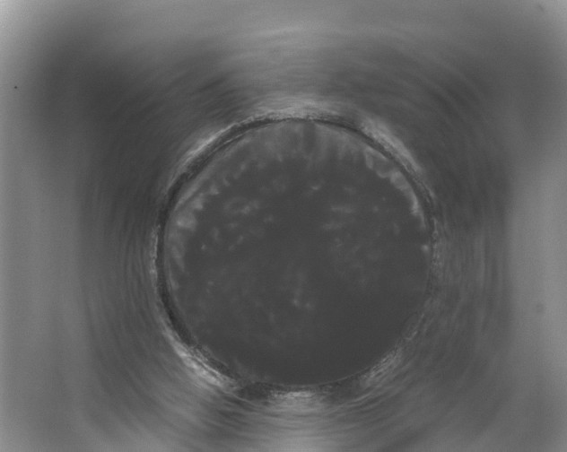 X0000066500058200604141733