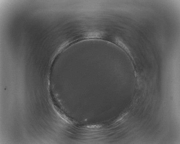 X0000066500059200604141733