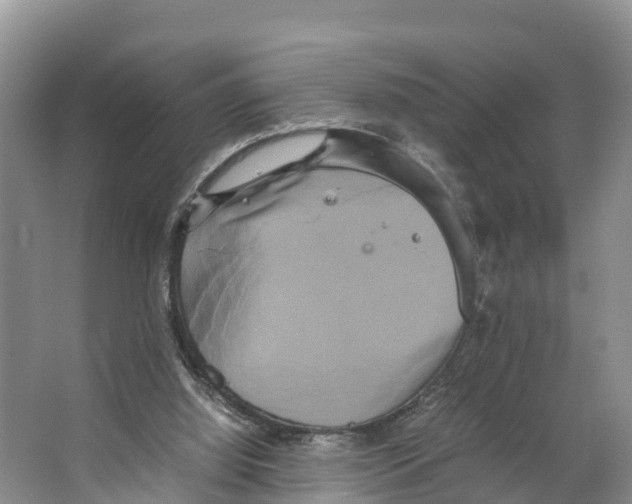 X0000066500060200604141733