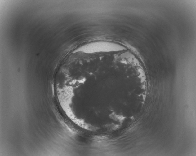 X0000066500061200604141733