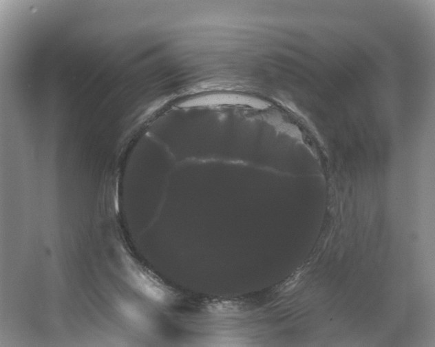X0000066500062200604141733