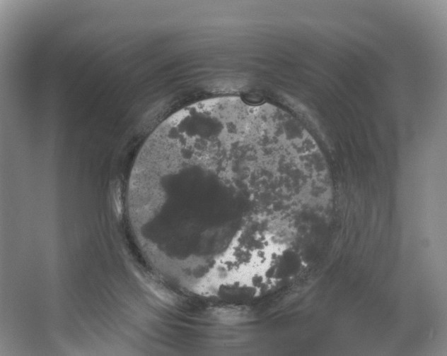 X0000066500069200604141733