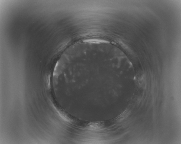 X0000066500070200604141733