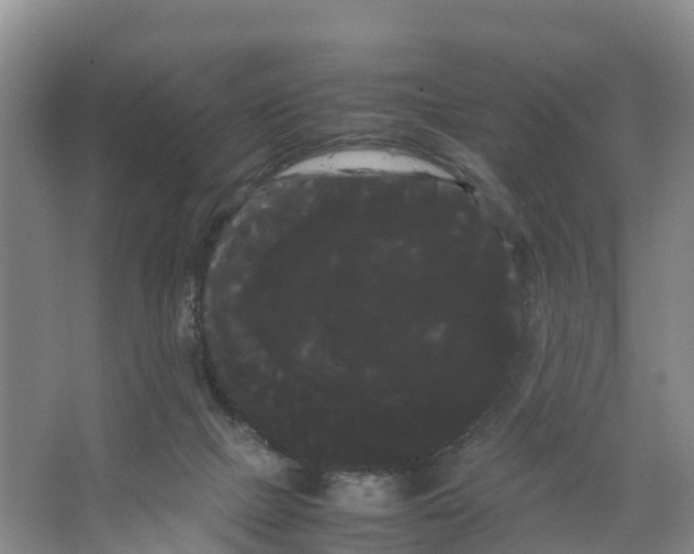 X0000066500073200604141733