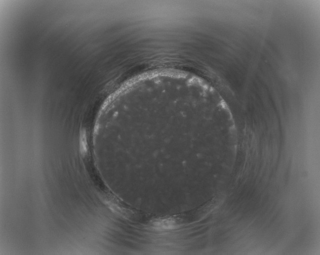 X0000066500075200604141733