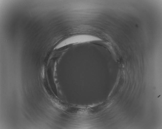 X0000066500076200604141733