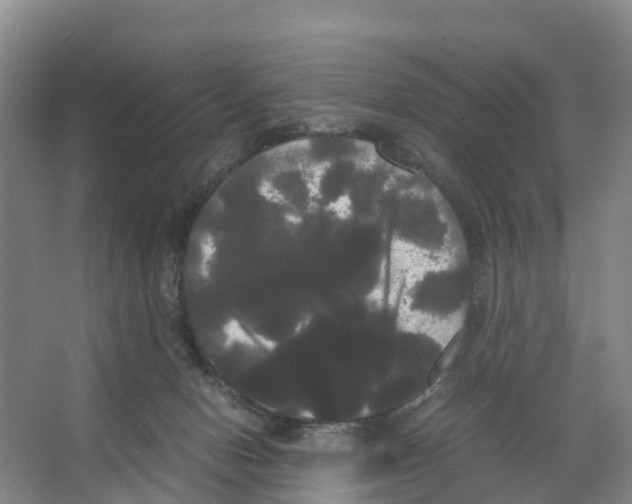 X0000066500078200604141733