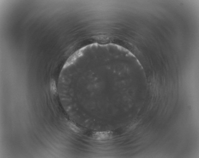 X0000066500089200604141733
