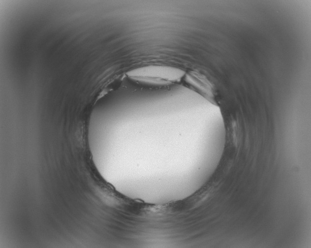 X0000066500092200604141733
