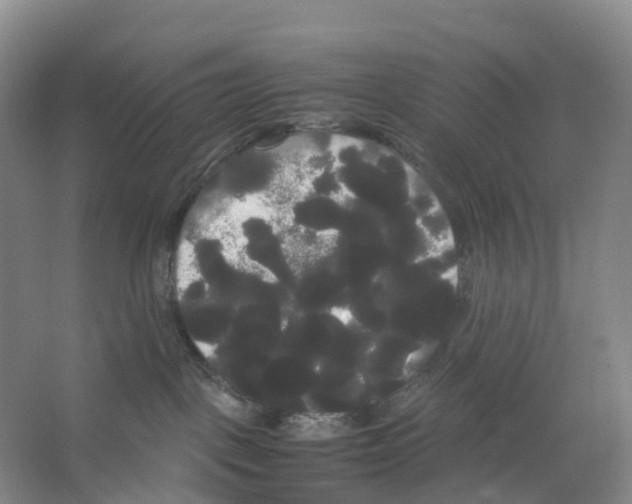 X0000066500093200604141733