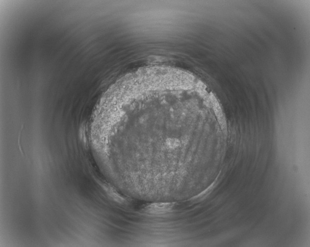 X0000066500094200604141733