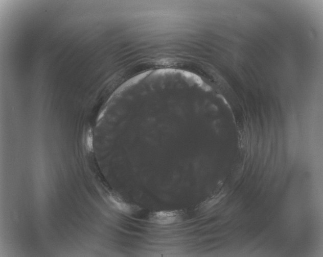 X0000066500095200604141733