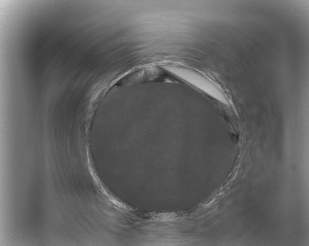X0000066500097200604141733